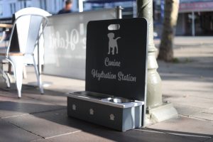 Canine Hyrdation Station. Drinking Water for dog friendly restaurant/cafe