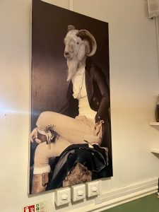 IMG_3815