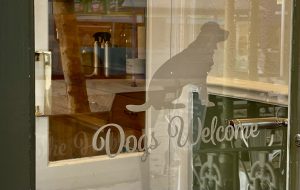 dogs-welcome