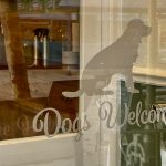 dogs-welcome