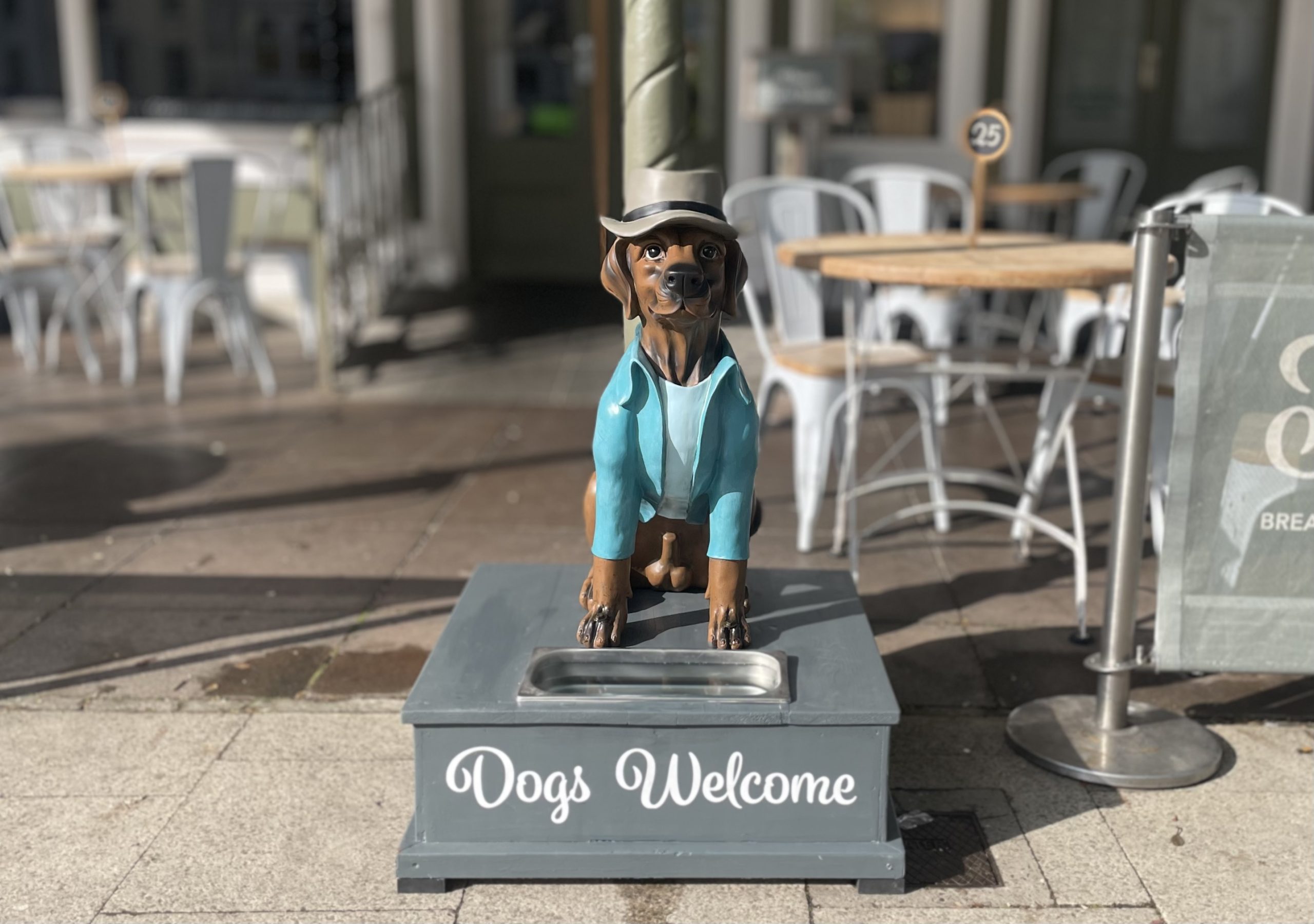 Dogs are welcome at The Habit Cafe. Dog friendly cafe in Llandudno